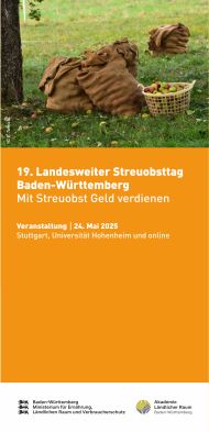 aktueller Flyer