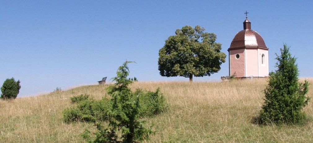 Rasenfläche mit vereinzelten Büschen und Bäumen und einer kleinen Kapelle