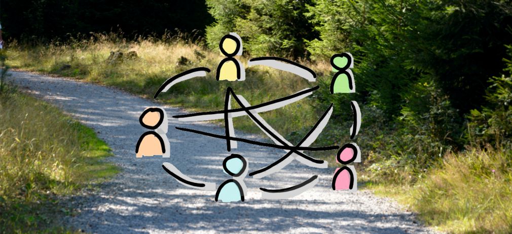 Collage, im Hintergrund Waldweg, im Vordergrund Netzwerkgrafik