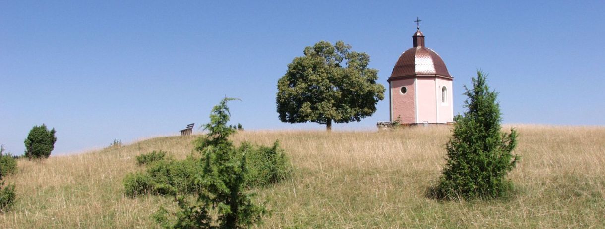 Rasenfläche mit vereinzelten Büschen und Bäumen und einer kleinen Kapelle