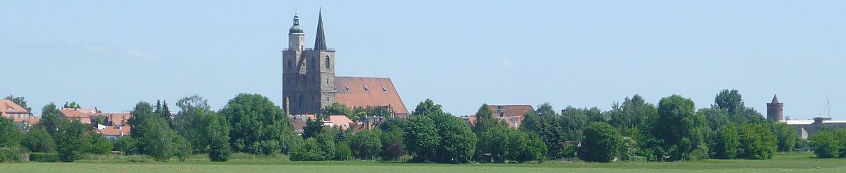 Bäume mit großer Kirche im Hintergrund