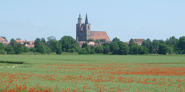Mohnfeld mit großer Kirche im Hintergrund