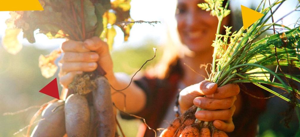 Flyerbild Veranstaltung Soziale Landwirtschaft Frau, die mit den Händen jeweils einen Bund Rettiche und Karotten hält hält